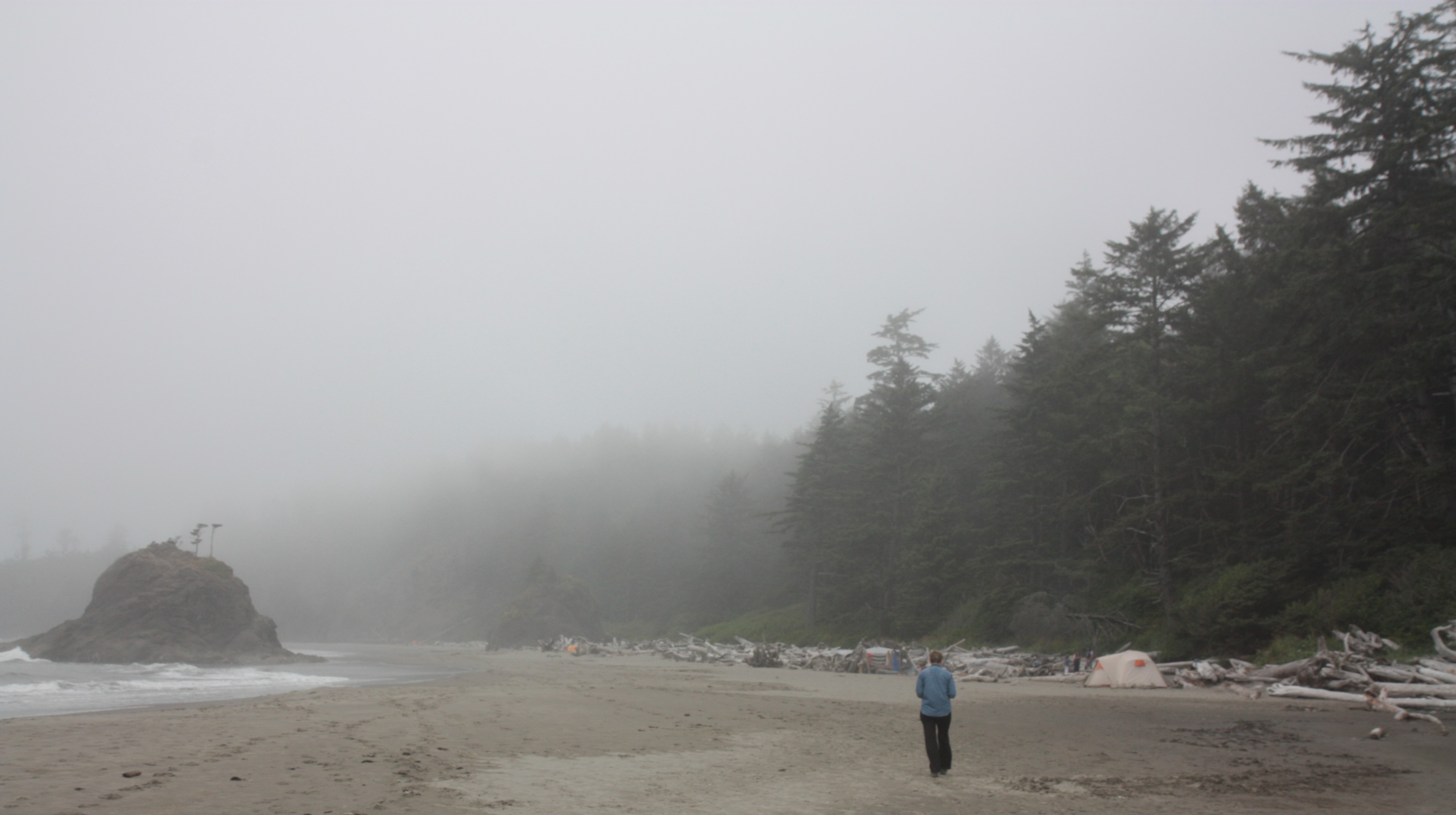 Olympic NP